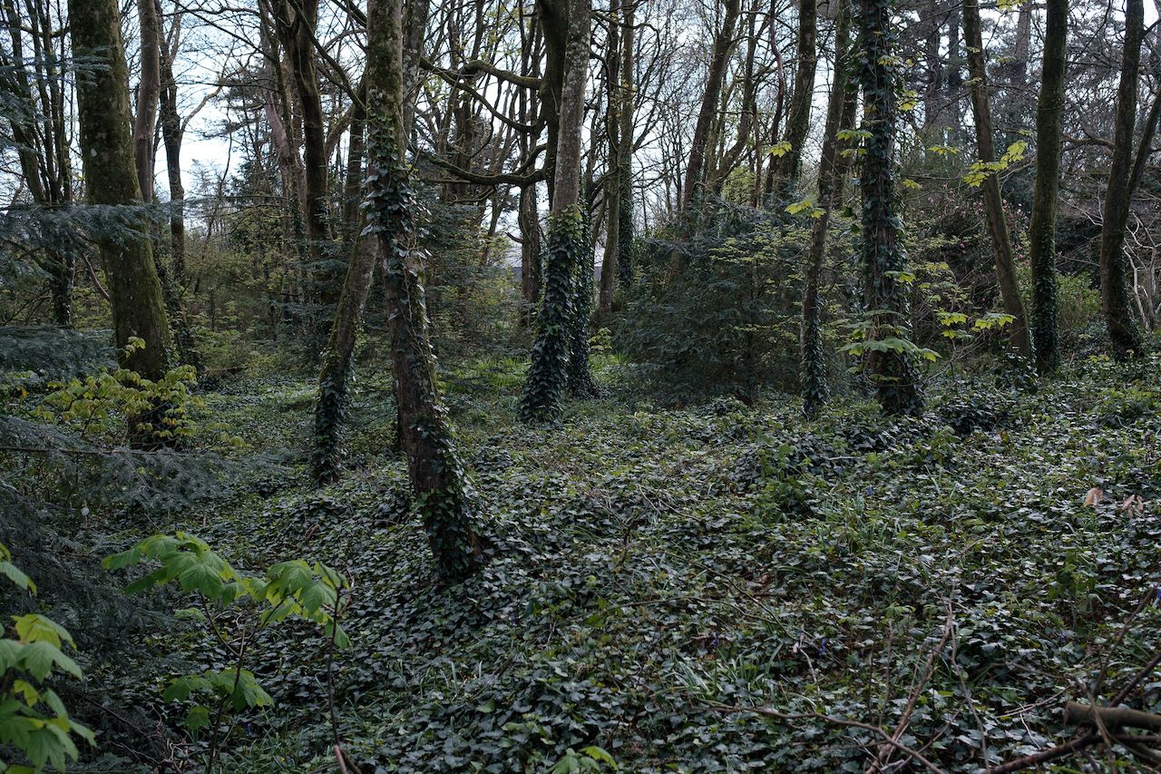 L’aventure au fond du jardin